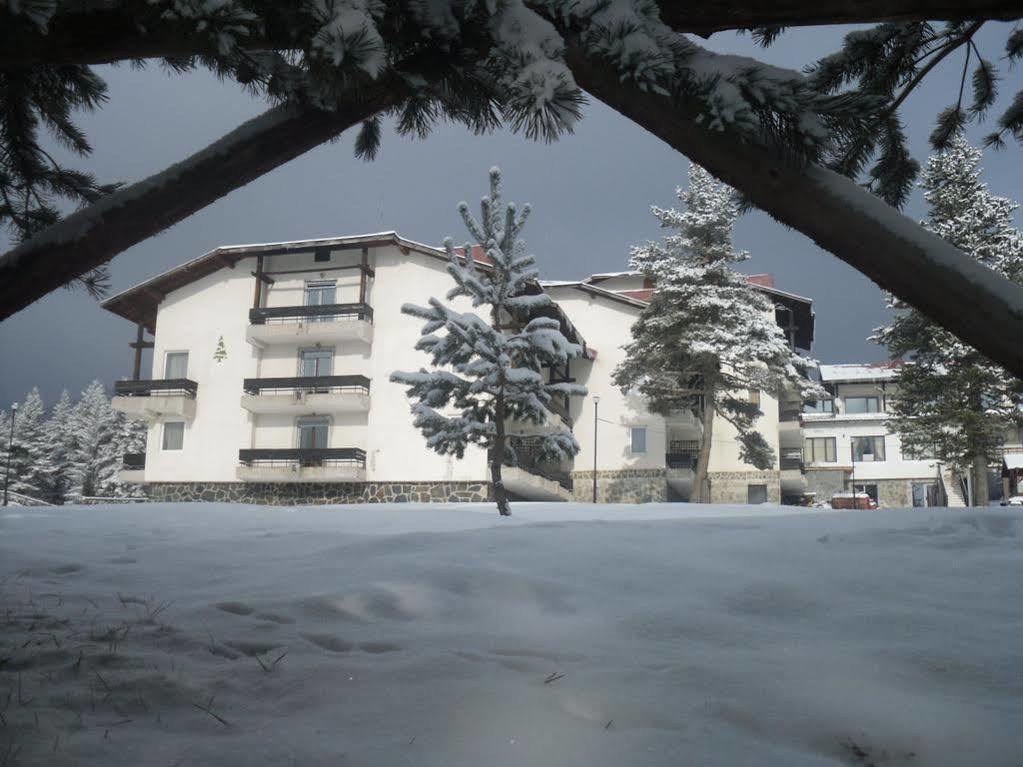Bor Hotel Belitsa  Extérieur photo
