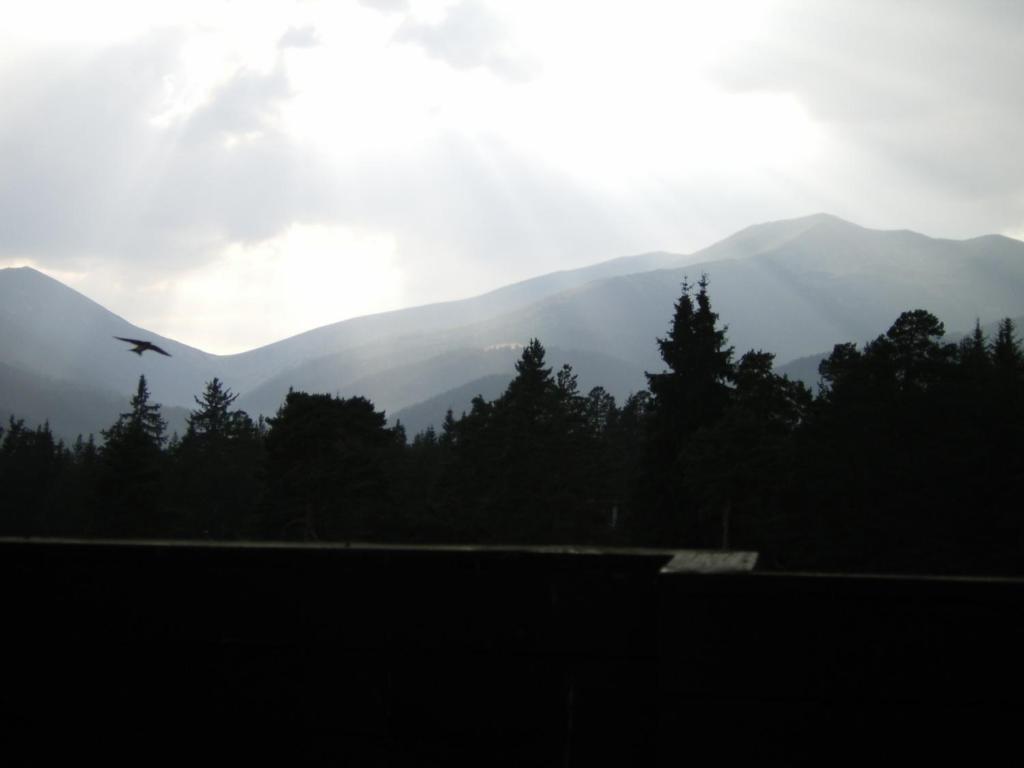 Bor Hotel Belitsa  Chambre photo